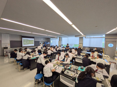 0528　ブナ林事前①