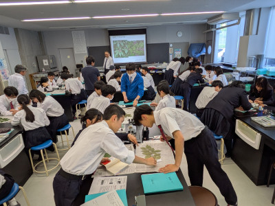 0528　ブナ林事前③